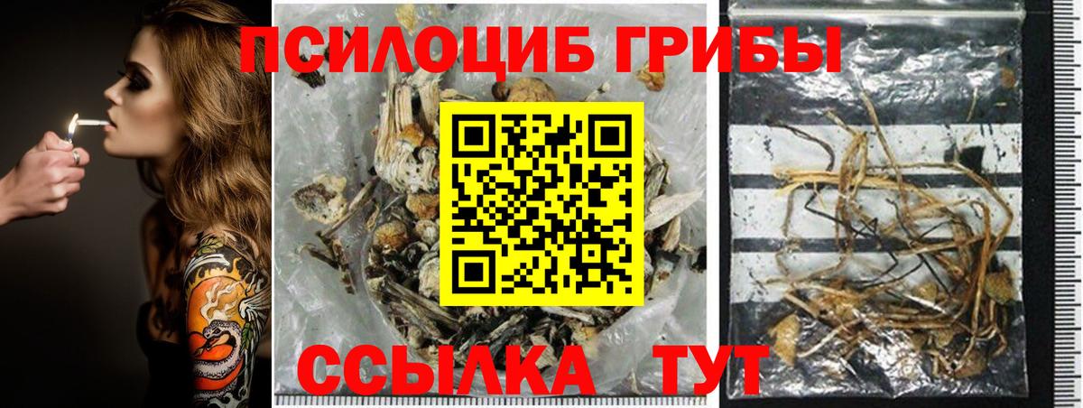 Галлюциногенные грибы MAGIC MUSHROOMS Белогорск